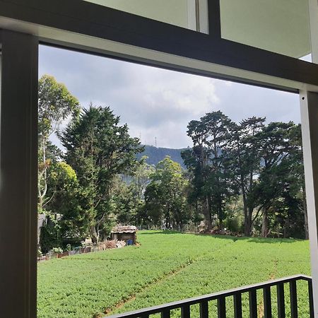 Green Mount View Two Bed Room Apartment Nuwara Eliya Kültér fotó