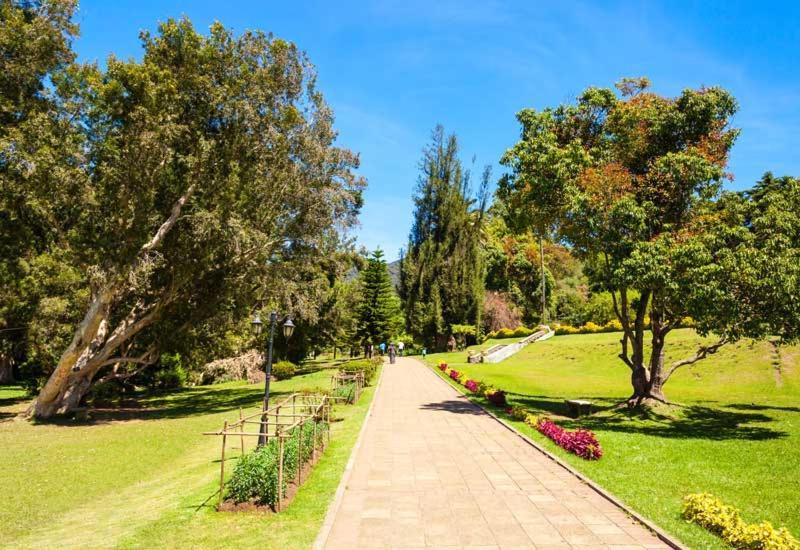 Green Mount View Two Bed Room Apartment Nuwara Eliya Kültér fotó